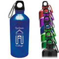 17 Oz. Aluminum Water Bottle